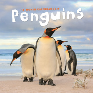 Cover image for 9781529897876 - Penguins Square Wall Sunday Start Calend