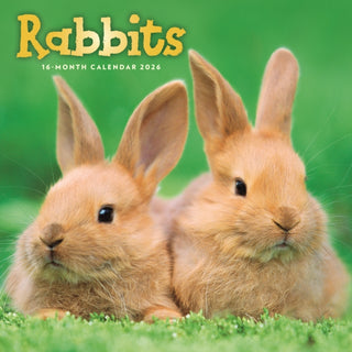 Cover image for 9781529897968 - Rabbits Square Wall Sunday Start Calenda