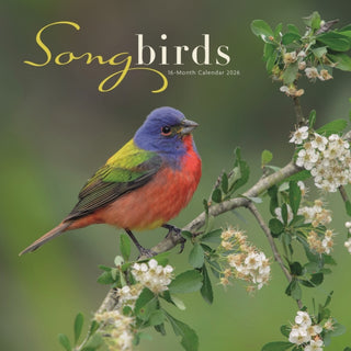 Cover image for 9781529898170 - Songbirds Square Wall Sunday Start Calen