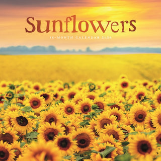 Cover image for 9781529898316 - Sunflowers Square Wall Sunday Start Cale