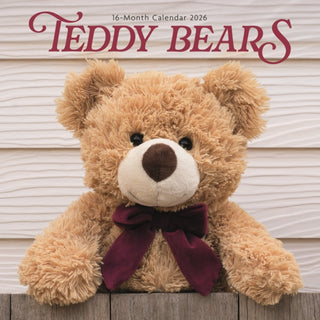 Cover image for 9781529898392 - Teddy Bears Square Wall Sunday Start Cal