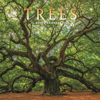 Cover image for 9781529898446 - Trees Square Wall Sunday Start Calendar