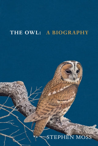Supplemental image for 9781529908268 - The Owl