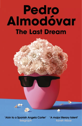 Cover image for 9781529918632 - The Last Dream