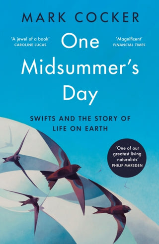 Cover image for 9781529921991 - One Midsummer's Day
