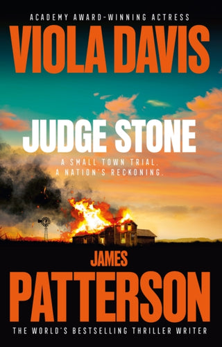 Cover image for 9781529943627 - Judge Stone