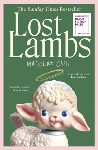 Cover image for 9781529946123 - Lost Lambs
