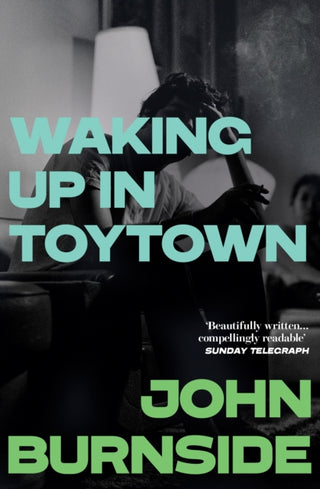 Supplemental image for 9781529962871 - Waking Up in Toytown