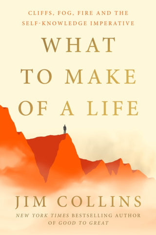 Cover image for 9781529979756 - What to Make of a Life