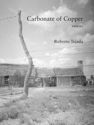 Supplemental image for 9781531509705 - Carbonate of Copper