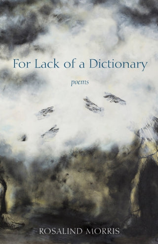 Cover image for 9781531509736 - For Lack of a Dictionary