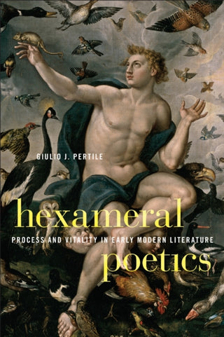 Cover image for 9781531513962 - Hexameral Poetics