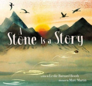 Cover image for 9781534496941 - A Stone Is a Story