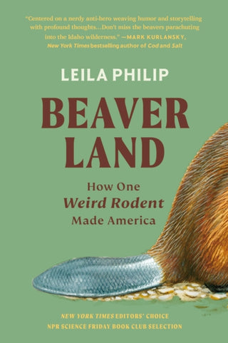 Cover image for 9781538755204 - Beaverland