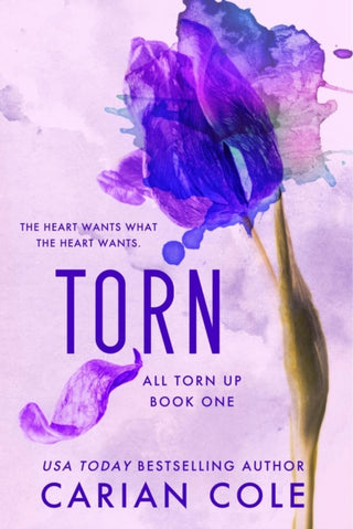 Cover image for 9781538765982 - Torn