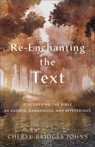Cover image for 9781540965134 - Re–enchanting the Text – Discovering the Bible as Sacred, Dangerous, and Mysterious