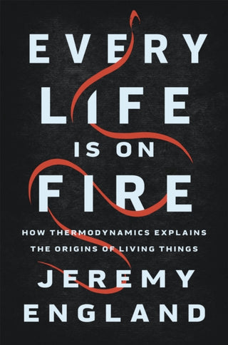 Cover image for 9781541699014 - Every Life Is On Fire