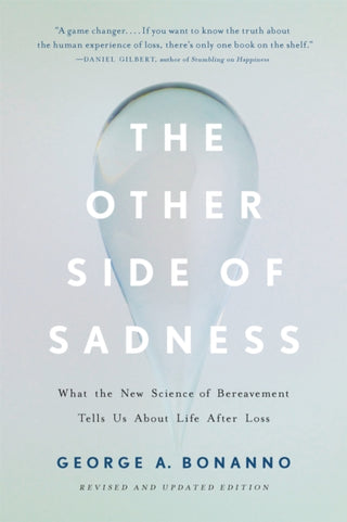Cover image for 9781541699373 - The Other Side of Sadness (Revised)