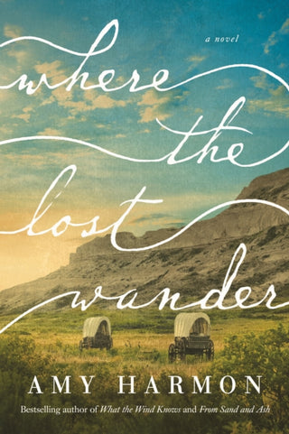 Cover image for 9781542017961 - Where the Lost Wander