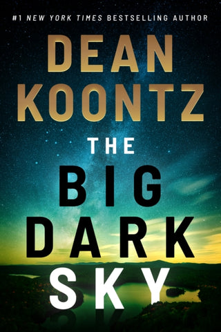 Cover image for 9781542019910 - The Big Dark Sky