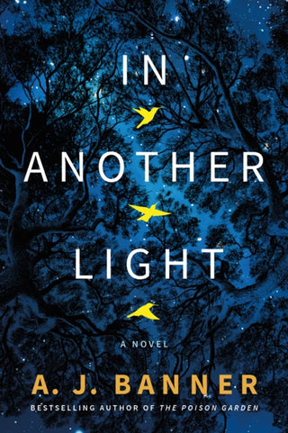 Cover image for 9781542031103 - In Another Light