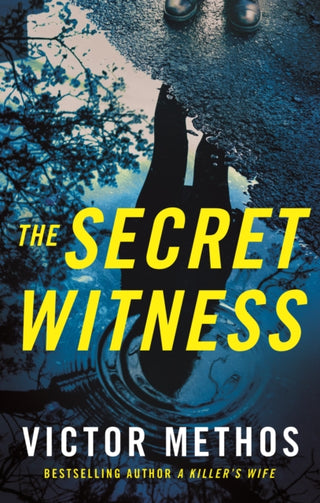 Cover image for 9781542038188 - The Secret Witness