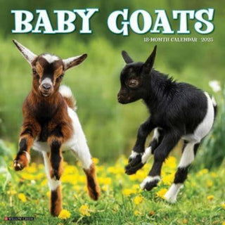 Cover image for 9781549241536 - Baby Goats 2025 12 X 12 Wall Calendar