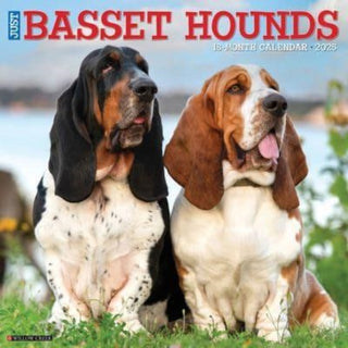 Cover image for 9781549241604 - Just Basset Hounds 2025 12 X 12 Wall Calendar