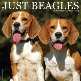 Cover image for 9781549241666 - Just Beagles 2025 12 X 12 Wall Calendar