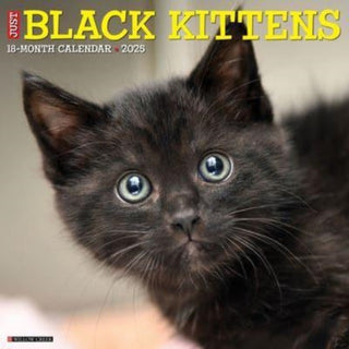 Cover image for 9781549241840 - Just Black Kittens 2025 12 X 12 Wall Calendar