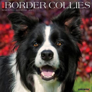 Cover image for 9781549241895 - Just Border Collies 2025 12 X 12 Wall Calendar