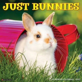 Cover image for 9781549242045 - Just Bunnies 2025 12 X 12 Wall Calendar