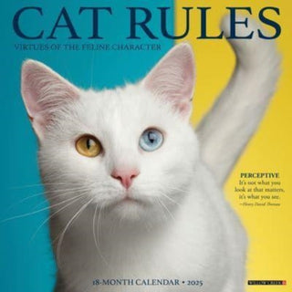 Cover image for 9781549242199 - Cat Rules 2025 12 X 12 Wall Calendar