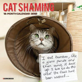 Cover image for 9781549242205 - Cat Shaming 2025 12 X 12 Wall Calendar