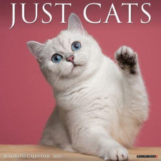 Cover image for 9781549242236 - Just Cats 2025 12 X 12 Wall Calendar