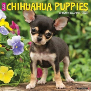 Cover image for 9781549242304 - Just Chihuahua Puppies 2025 12 X 12 Wall Calendar