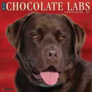 Cover image for 9781549242359 - Just Chocolate Labs 2025 12 X 12 Wall Calendar