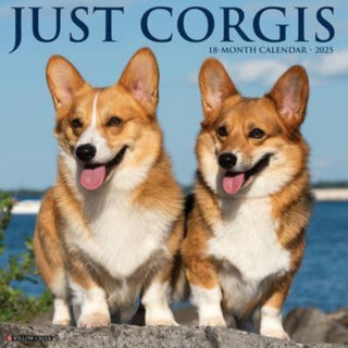 Cover image for 9781549242564 - Just Corgis 2025 12 X 12 Wall Calendar