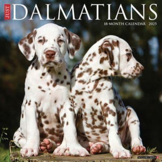 Cover image for 9781549242670 - Just Dalmatians 2025 12 X 12 Wall Calendar