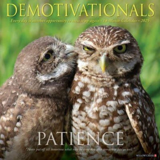 Cover image for 9781549242694 - Demotivationals 2025 12 X 12 Wall Calendar