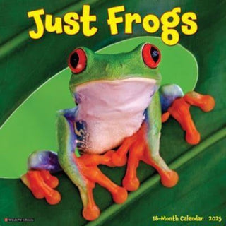 Cover image for 9781549242977 - Just Frogs 2025 12 X 12 Wall Calendar