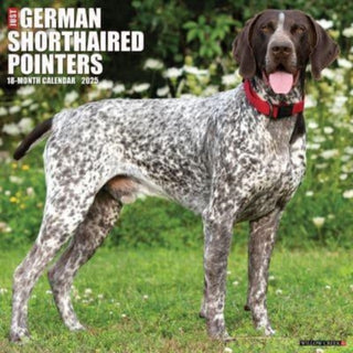 Cover image for 9781549243035 - Just German Shorthaired Pointers 2025 12 X 12 Wall Calendar