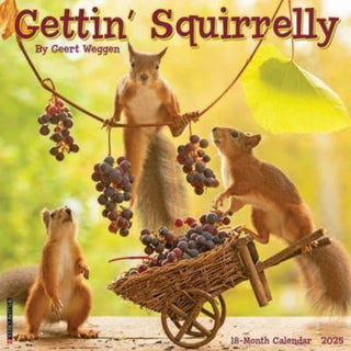 Cover image for 9781549243042 - Gettin' Squirrelly 2025 12 X 12 Wall Calendar