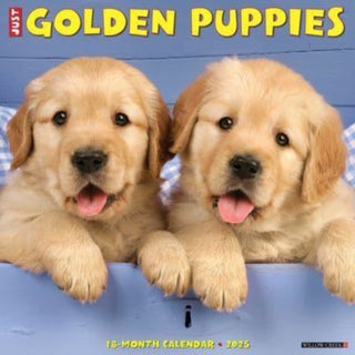 Cover image for 9781549243097 - Just Golden Puppies 2025 12 X 12 Wall Calendar