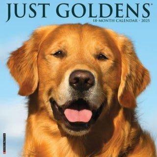 Cover image for 9781549243134 - Just Goldens 2025 12 X 12 Wall Calendar