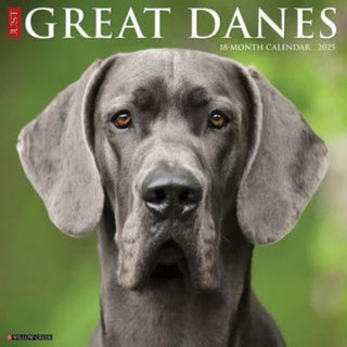 Cover image for 9781549243196 - Just Great Danes 2025 12 X 12 Wall Calendar