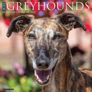 Cover image for 9781549243233 - Just Greyhounds 2025 12 X 12 Wall Calendar