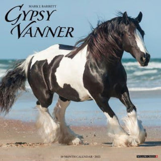 Cover image for 9781549243264 - Gypsy Vanner Horse 2025 12 X 12 Wall Calendar