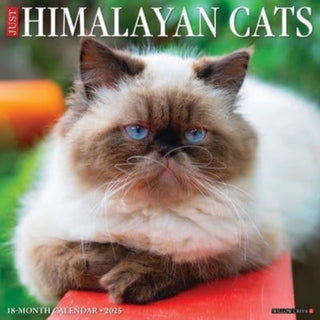 Cover image for 9781549243349 - Just Himalayan Cats 2025 12 X 12 Wall Calendar