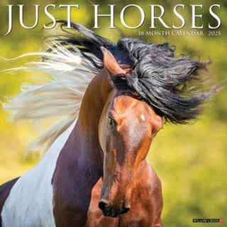 Cover image for 9781549243387 - Just Horses 2025 12 X 12 Wall Calendar